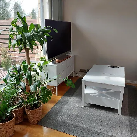 Vadelma Apartment *